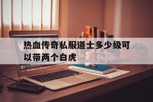 关于热血传奇私服道士多少级可以带两个白虎的信息