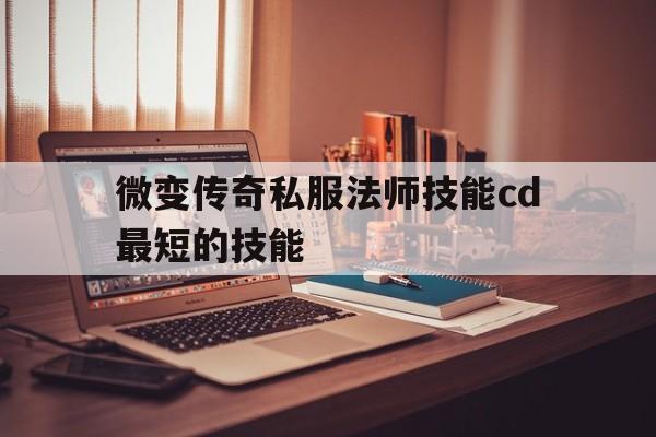 关于微变传奇私服法师技能cd最短的技能的信息