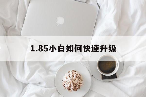 1.85小白如何快速升级的简单介绍