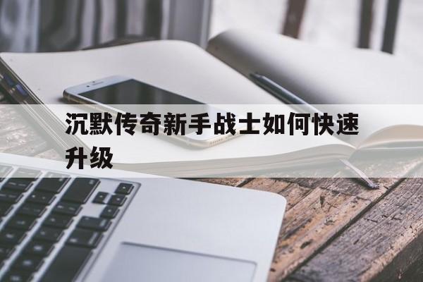 权威评测:沉默传奇新手战士如何快速升级特色、技能、版本攻略